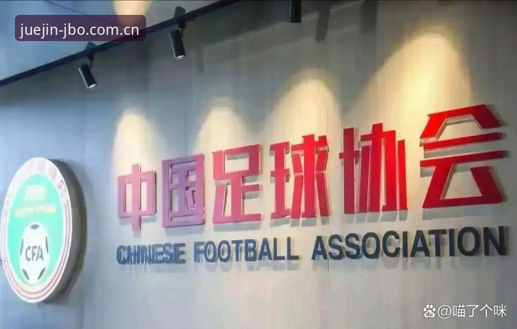 竞博jbo更新内容使用指南 足协禁足令升级 vs 行业自律困境:从65名违规人员看竞技体育的底线坚守